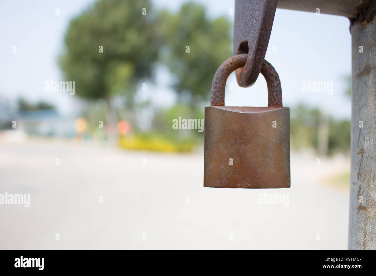 Gold Padlock with chain used on a chain link fence. Selective focus is
