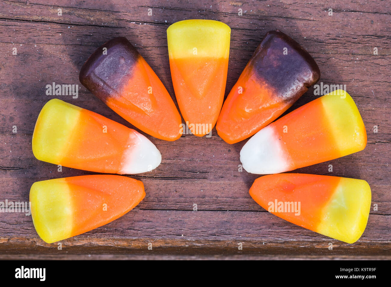 Horizontal closeup photo of mixed candy corn in a semi circle Stock Photo