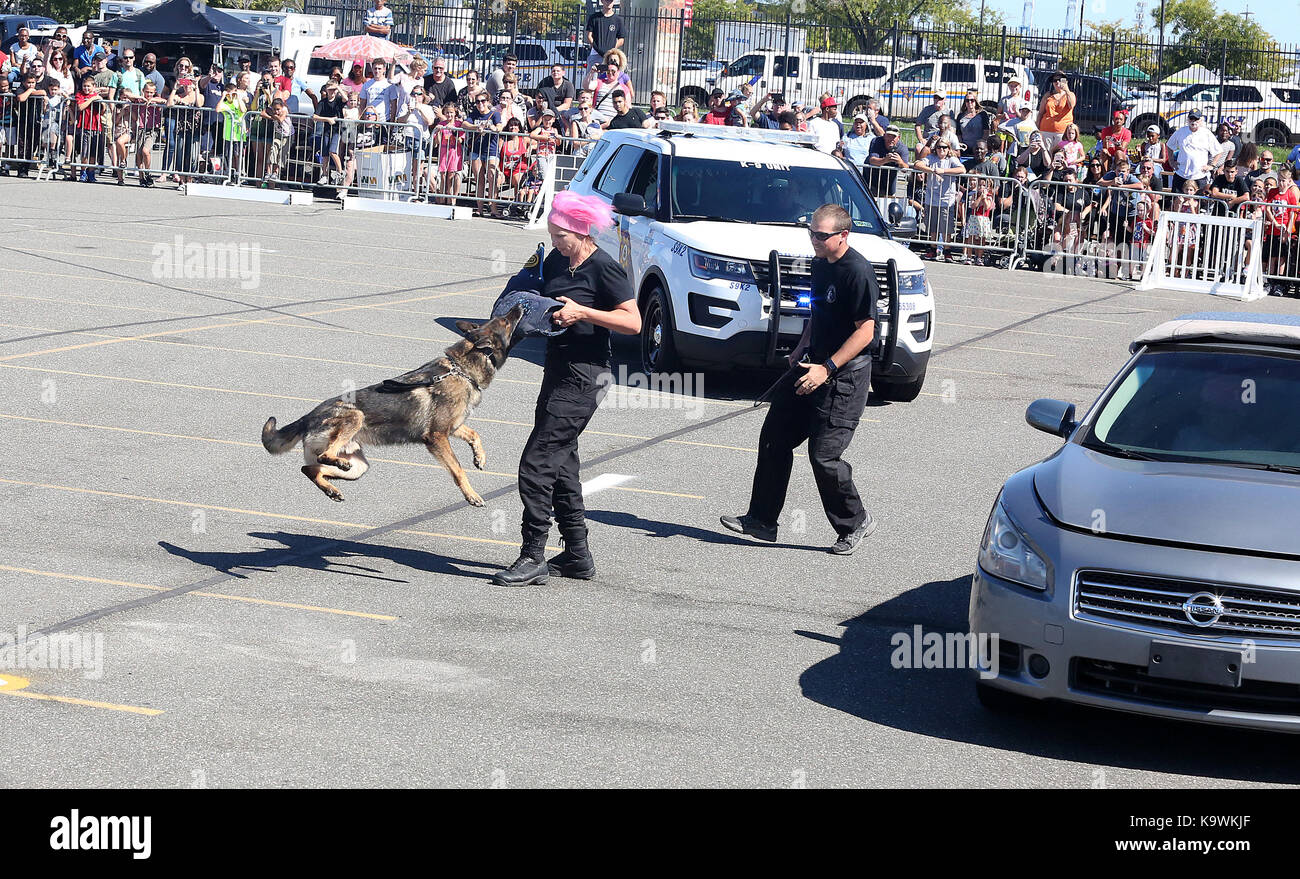 philadelphia police k9 unit