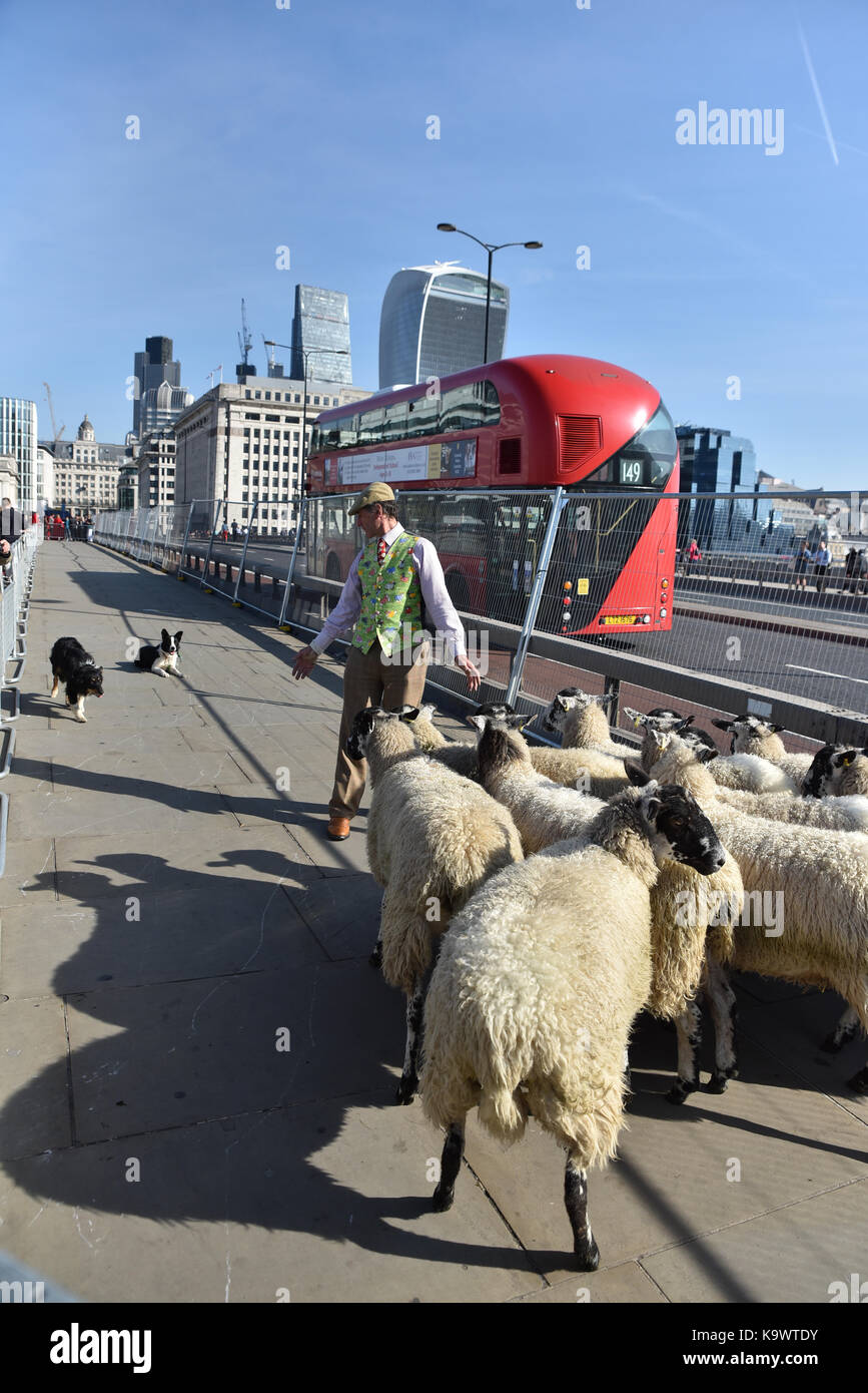 Ancient guild city of london hi-res stock photography and images - Alamy