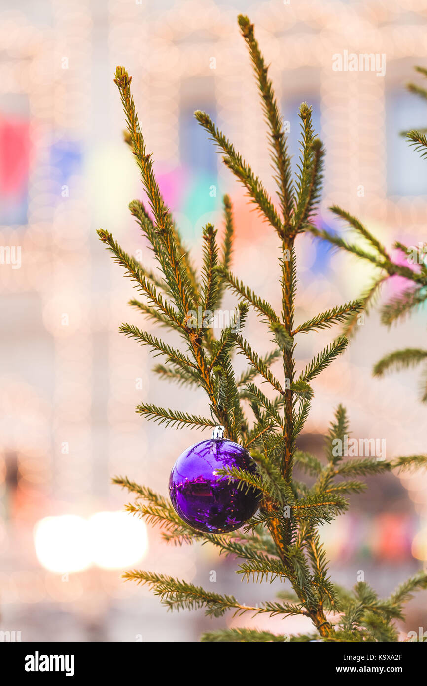 Big blue ball on fir branches on Christmas tree Stock Photo - Alamy