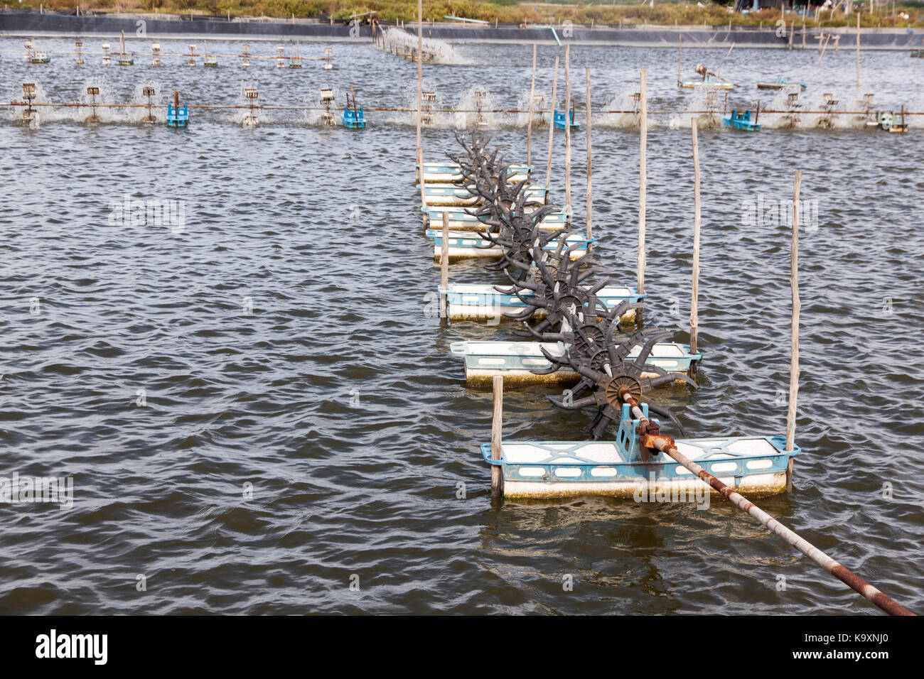 Paddle wheel aerator in Shrimp farming closed system. Supplying the Water with Fresh Oxygen. Natural Water Treatment. Stock Photo