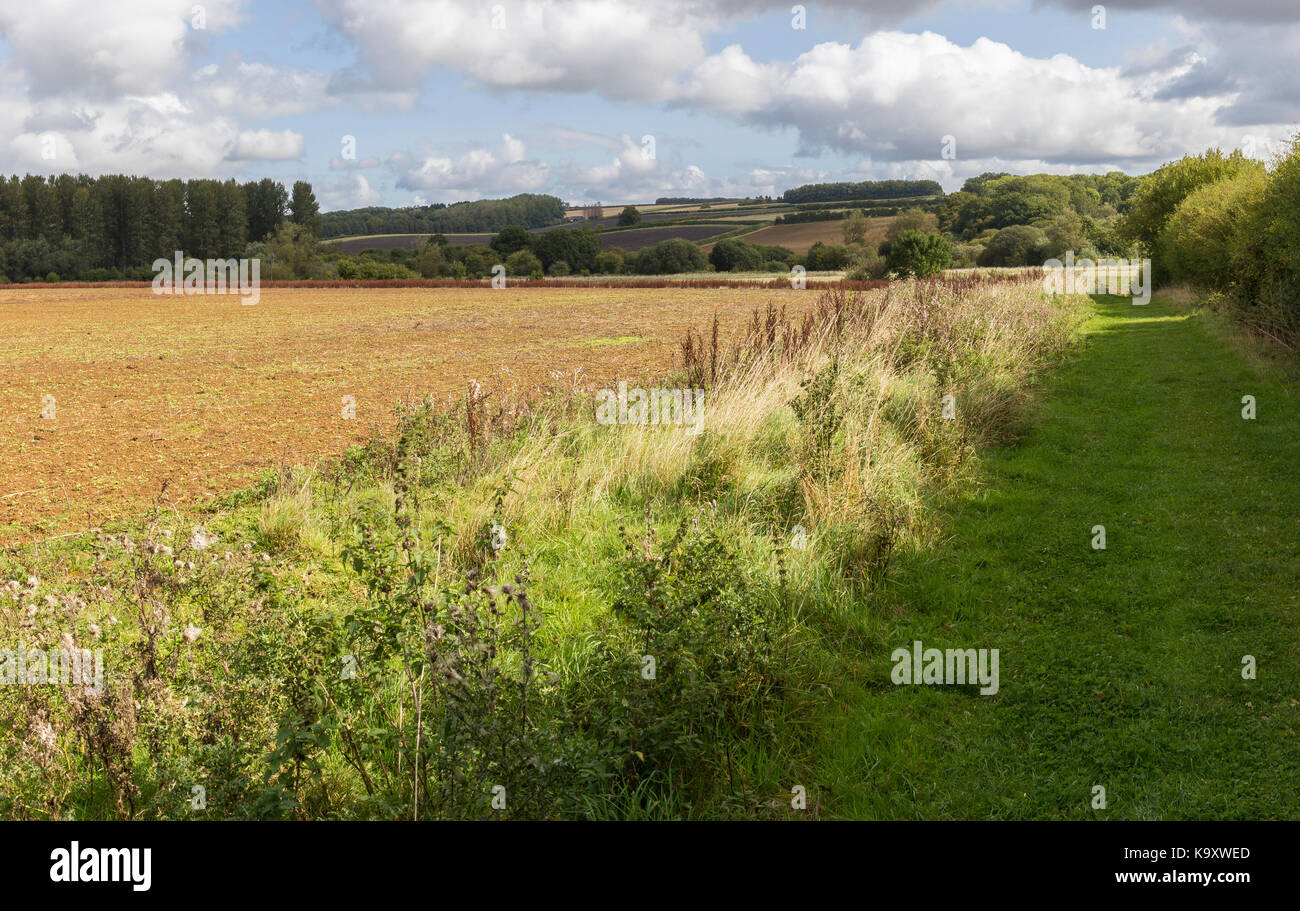Grazing land in Sherborne Park, Gloucestershire Stock Photo Alamy