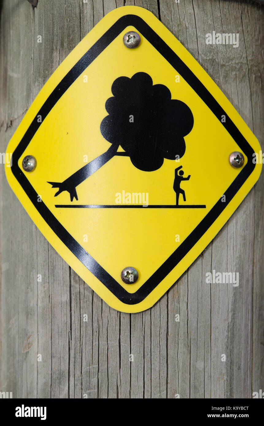 Beware of Falling Trees Stock Photo