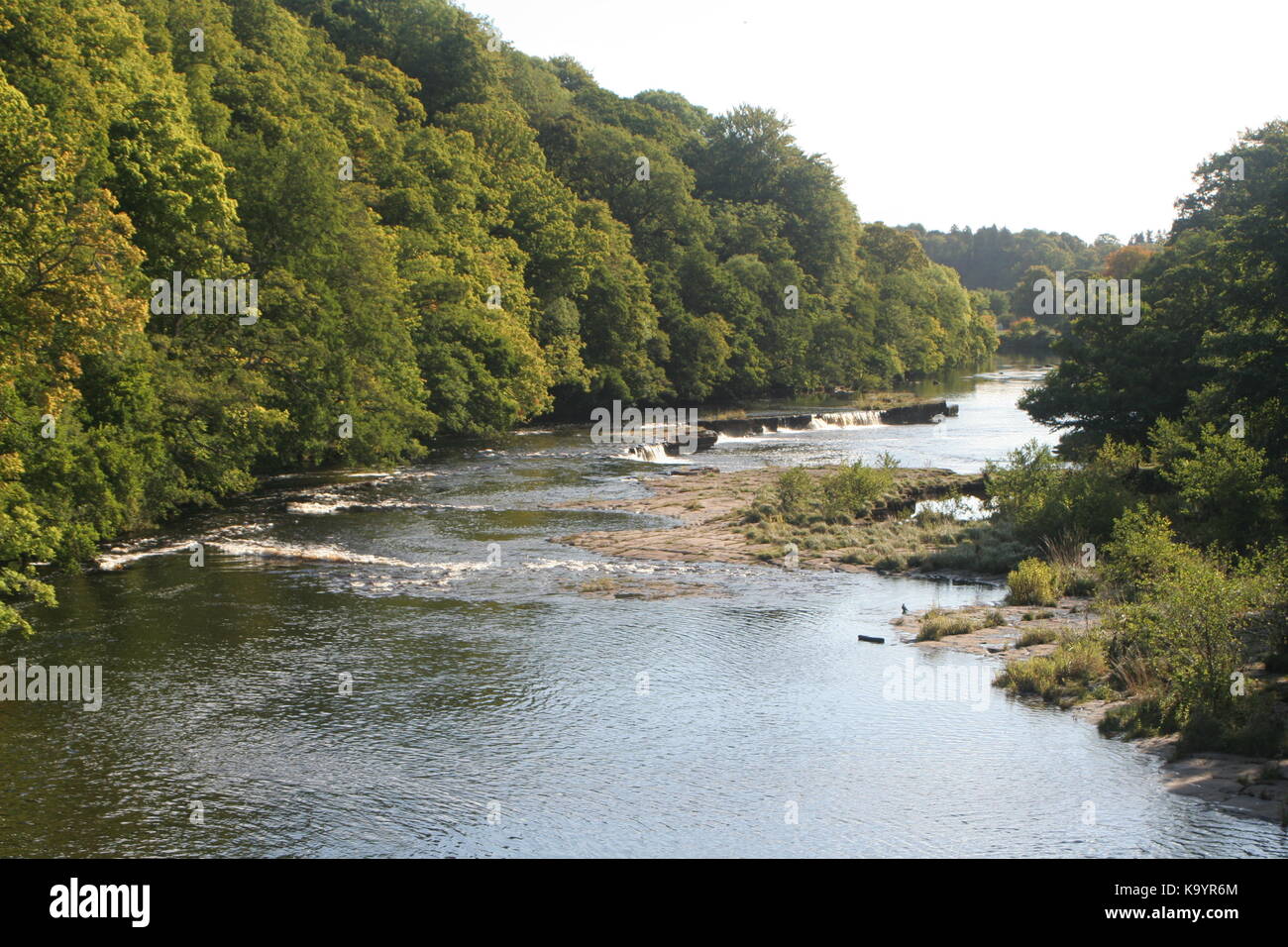 River Tees Stock Photo