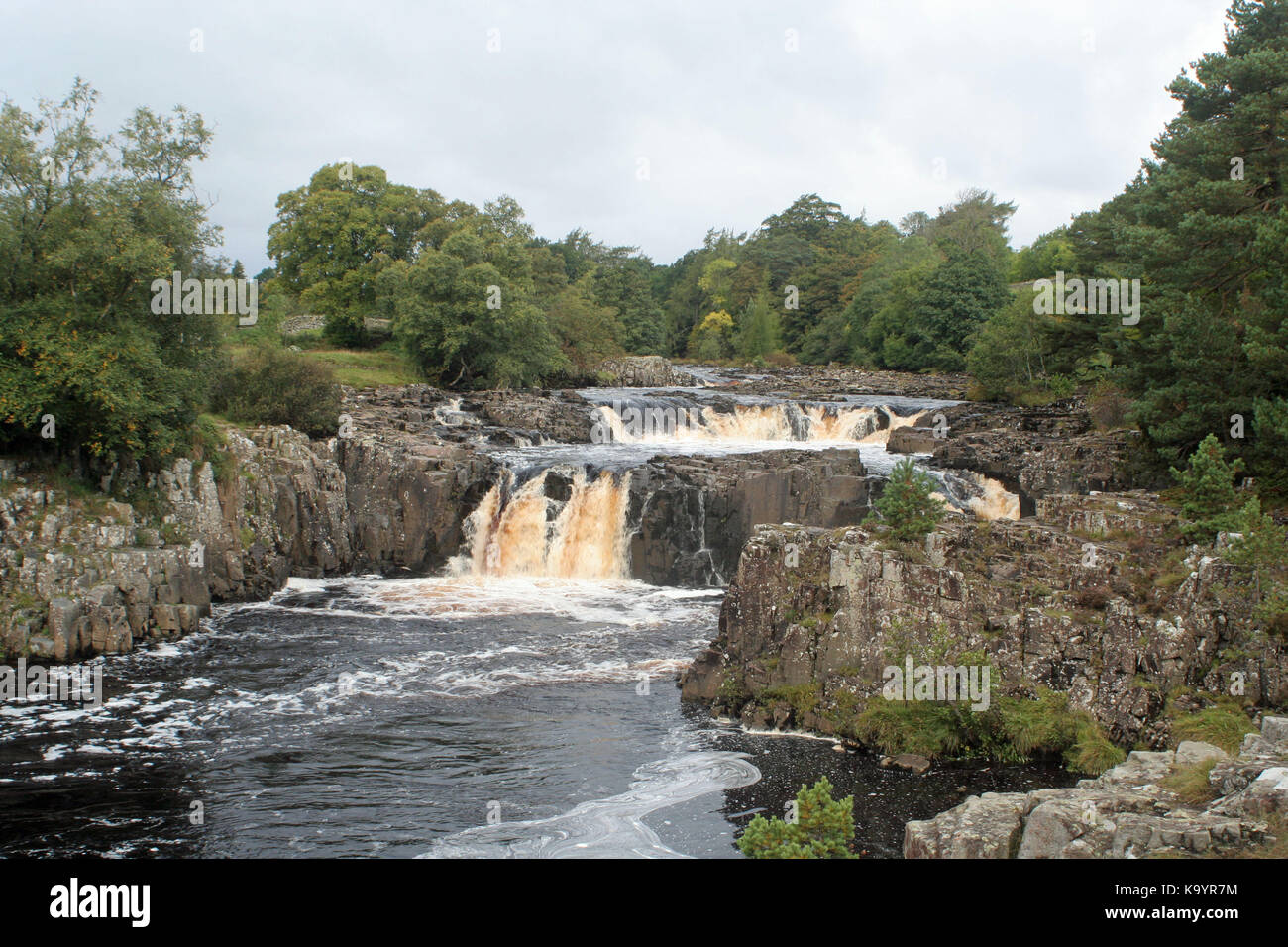 River Tees Stock Photo