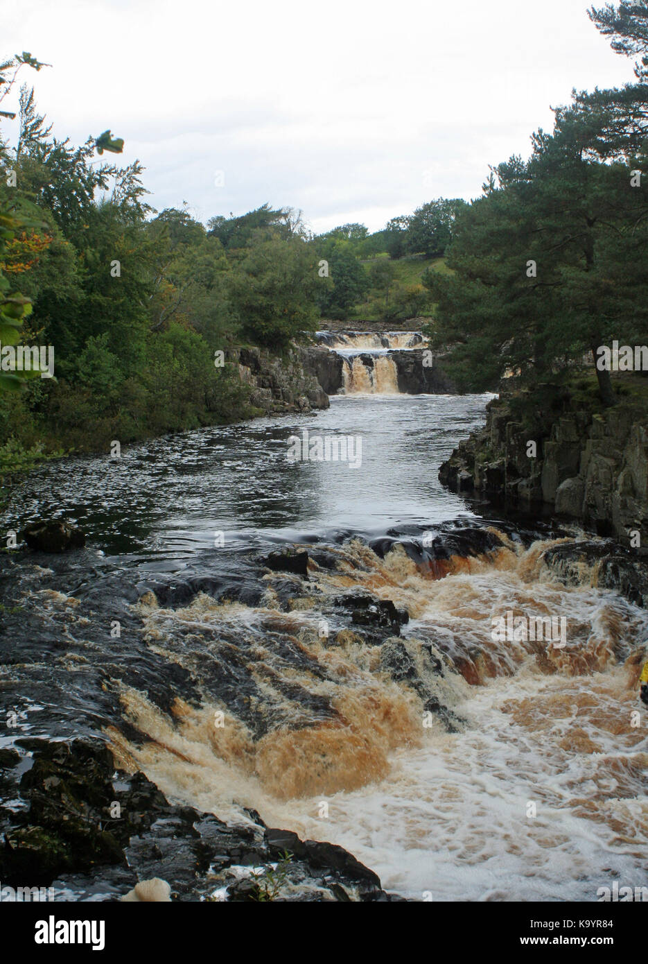 River Tees Stock Photo