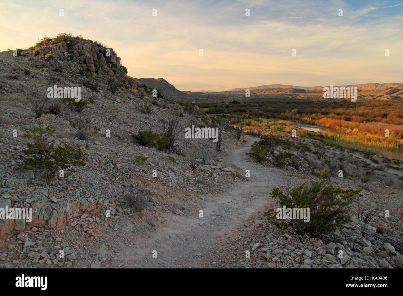 The Rio Grande Village Nature Trail provides visitors with easy access to spectacular vistas of the Rio Grande Valley, Big Bend National Park, Texas Stock Photo