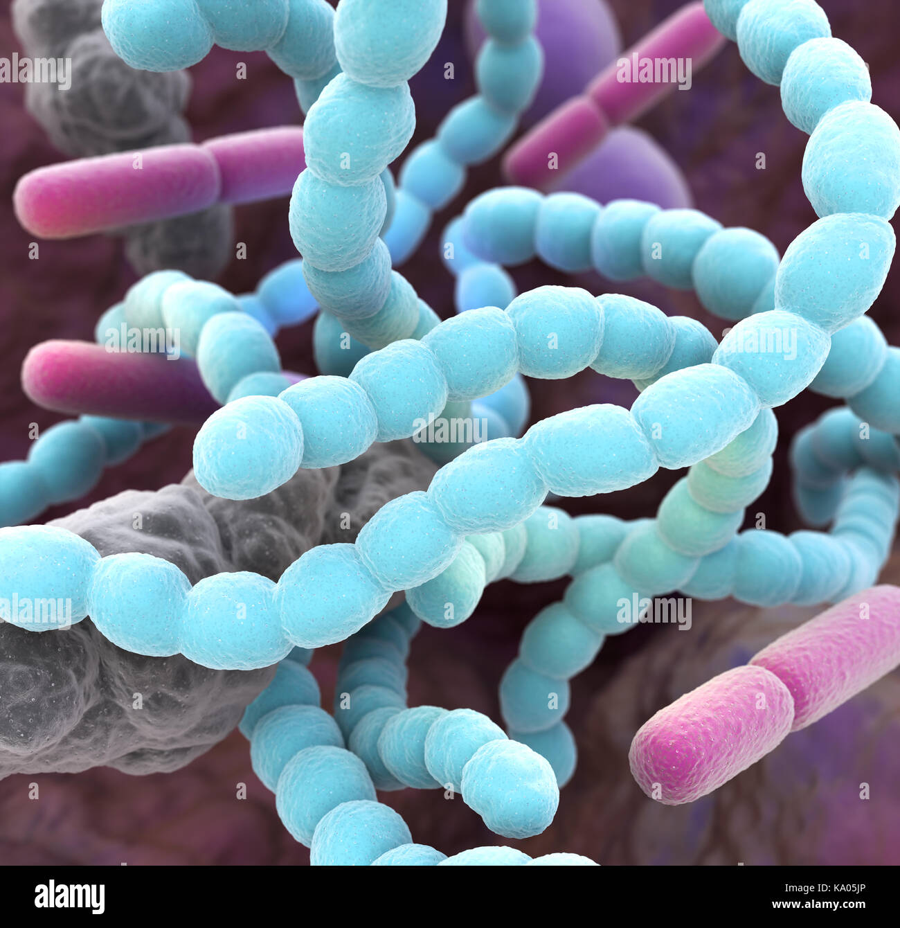 Бактерии неприятный запах. Микробы в ротовой полости. Бактерии полости рта под микроскопом.