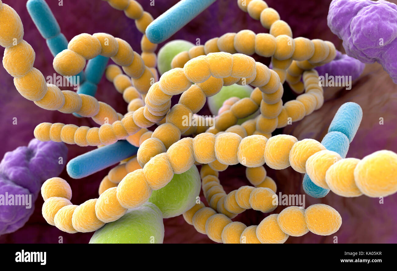 Close-up of bacteria found in the mouth which can cause halitosis or bad breath. 3D illustration Stock Photo