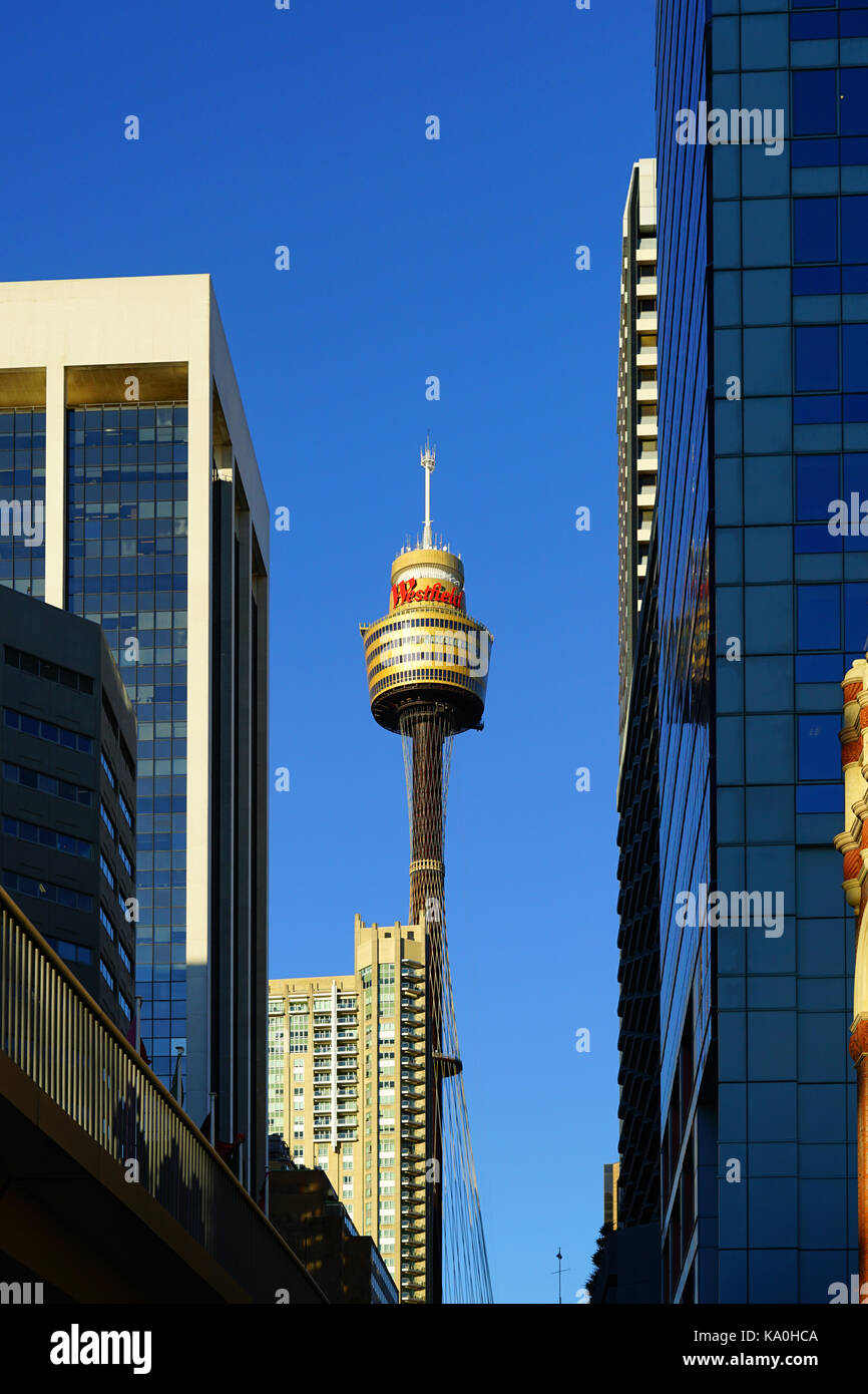 View of the landmark Sydney Tower (Sydney Tower Eye or Westfield ...