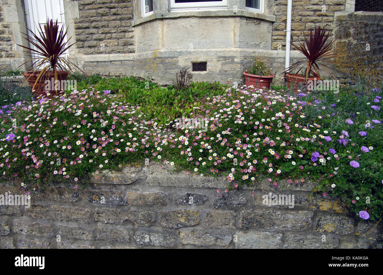 English Front Garden High Resolution Stock Photography and Images - Alamy