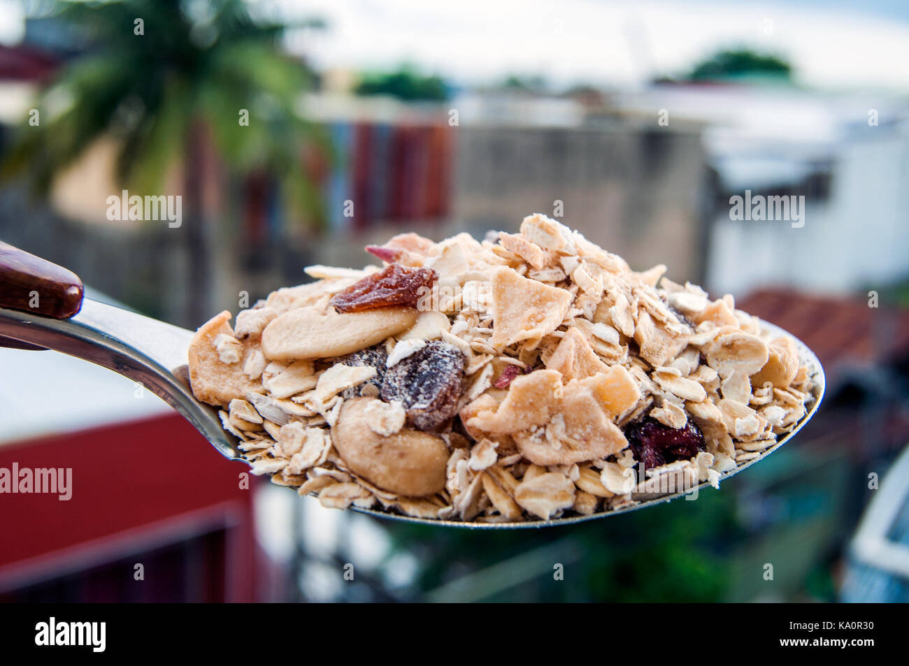 Indoor shot with outdoor background of a large kitchen serving spoon full or museli Stock Photo