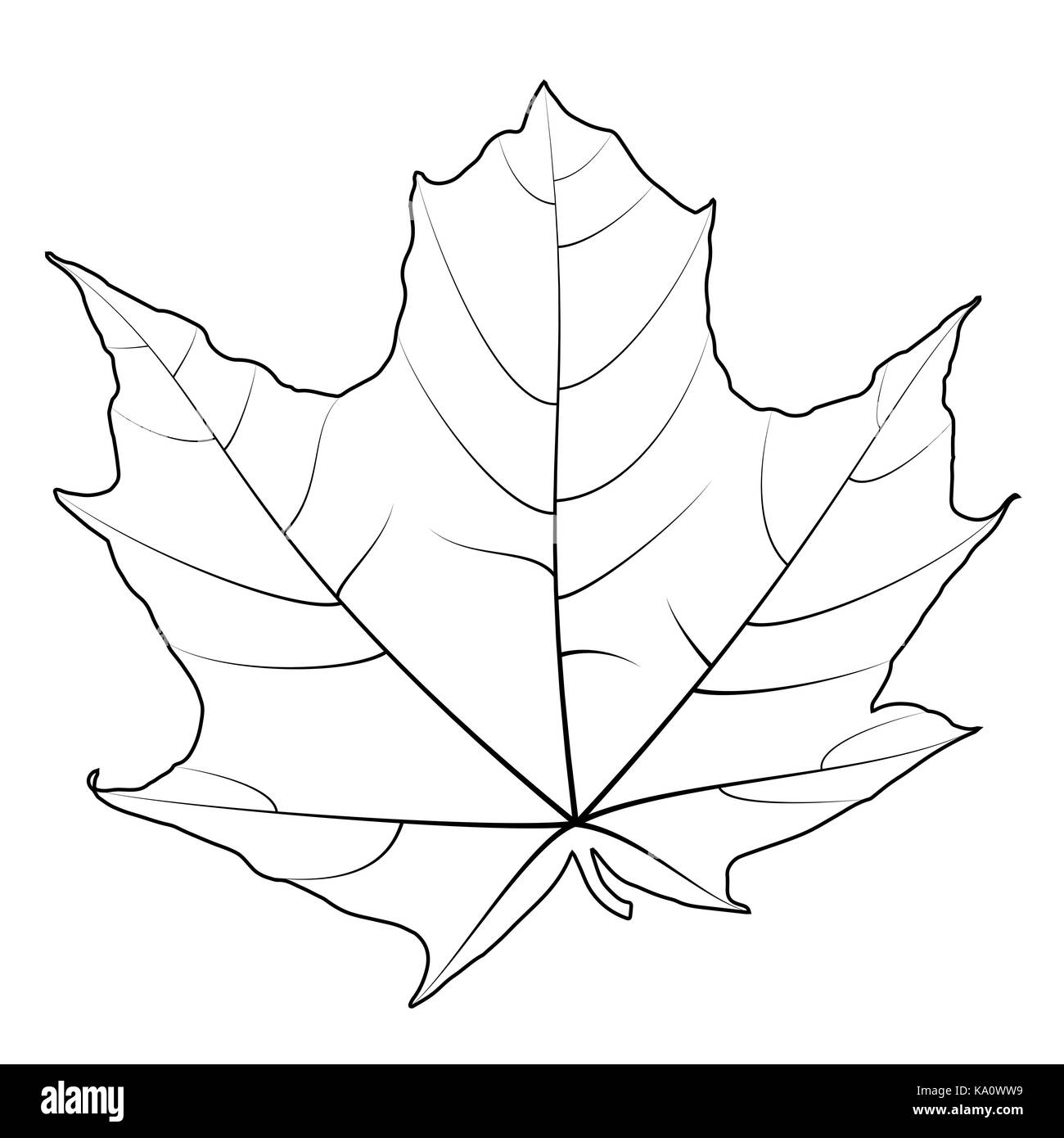Maple Leaf Isolated on White Background. Vector Illustration. Stock Vector