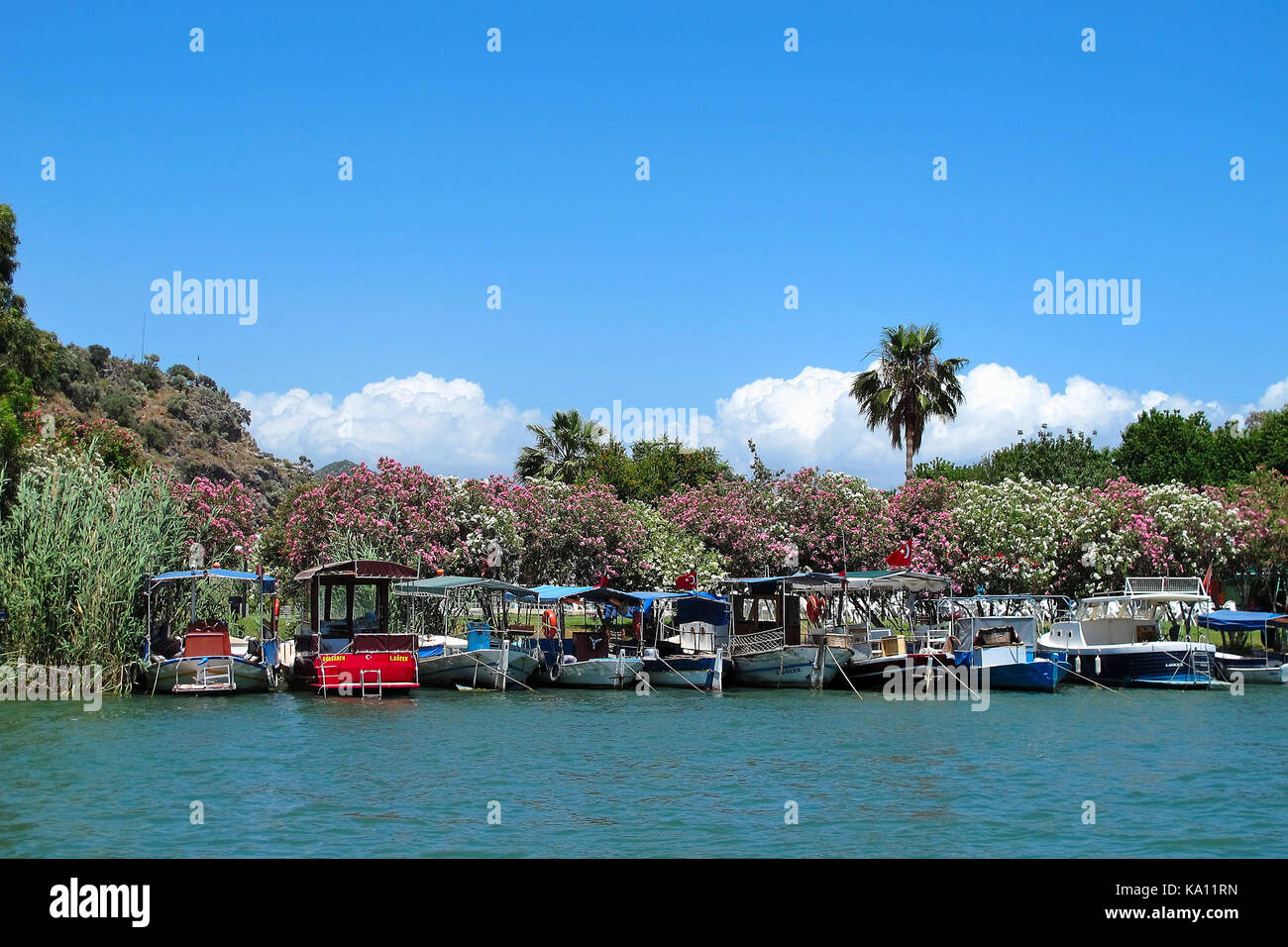 Boats covered in Oleander flowers along the pretty riverbank town of Dalyan, Turkey Stock Photo