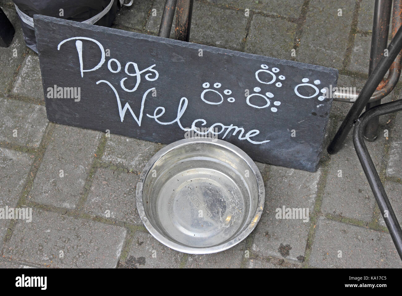 Should Dogs Share Water Bowls
