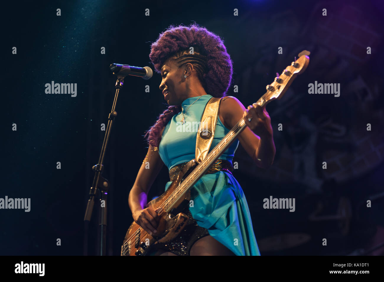 Bass guitar famous hi-res stock photography and images - Alamy