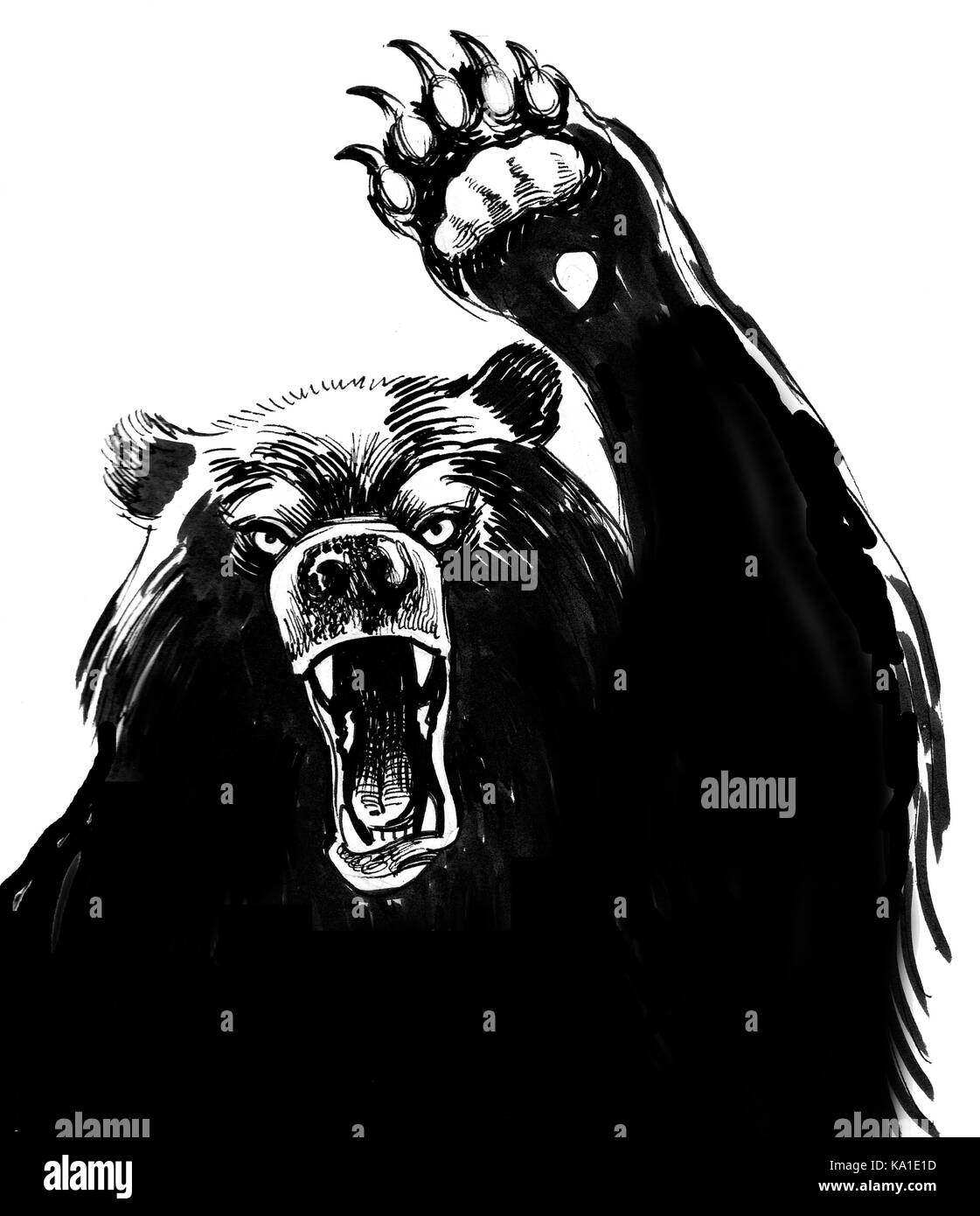 Angry black bear Black and White Stock Photos & Images - Alamy