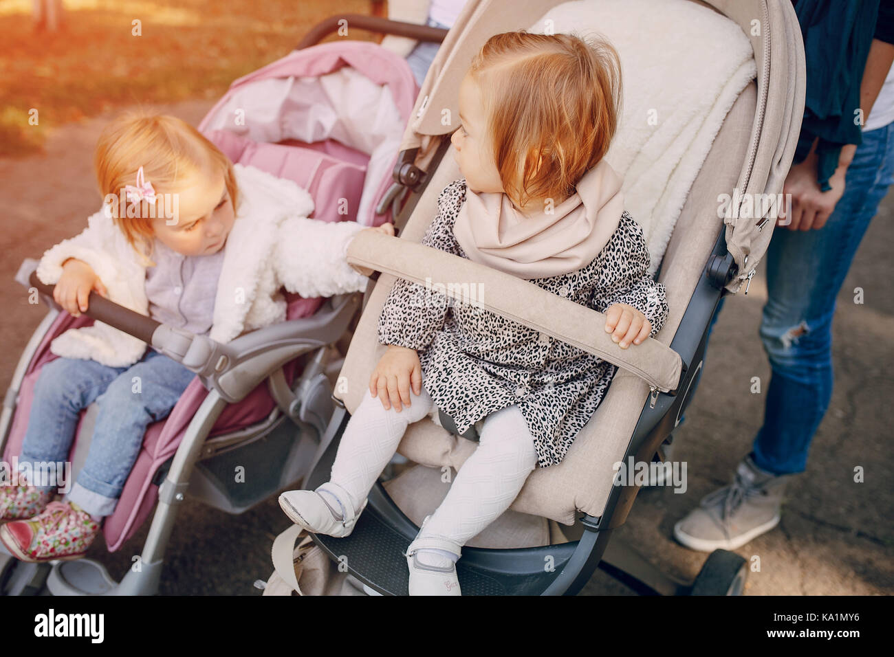Family walk in the park Stock Photo Alamy