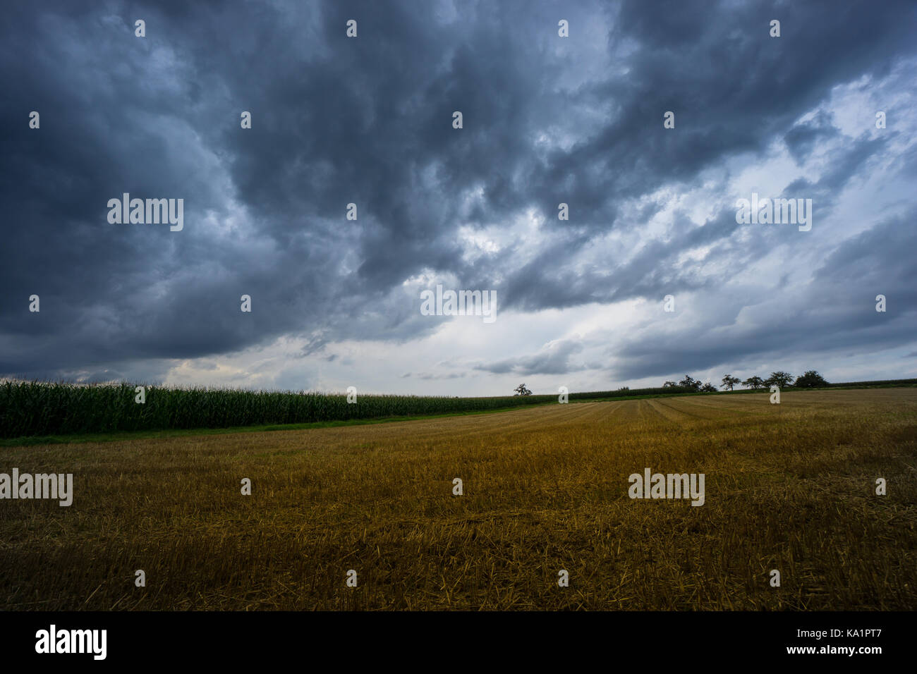 Thunderstorm with dramatic sky and cloud formations over harvested grainfield Stock Photo