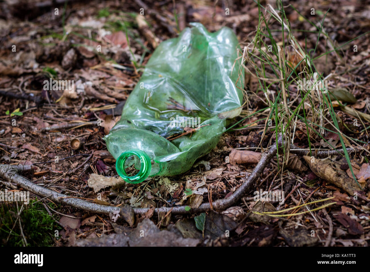 Plastic trash in the forest. Tucked nature. Plastic container lying in ...