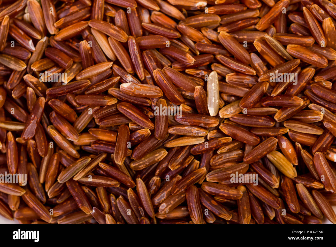 red rice Stock Photo