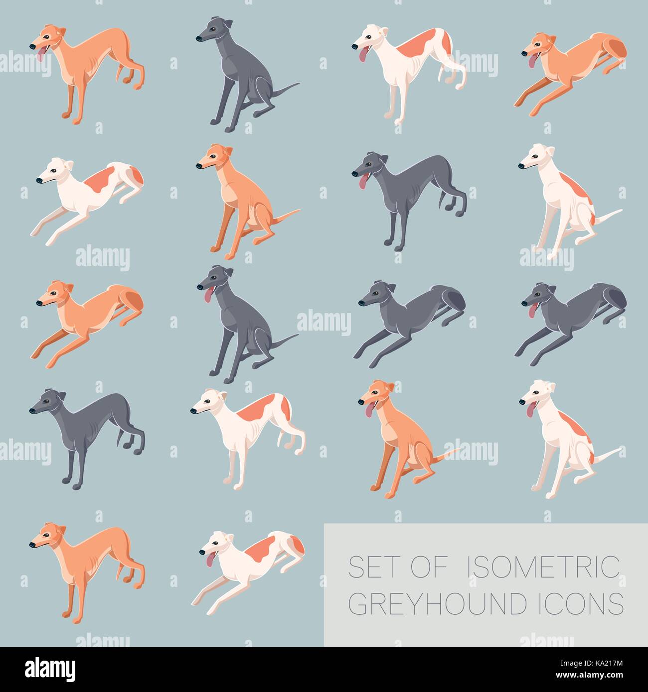 Set of greyhound icons Stock Vector Image & Art - Alamy