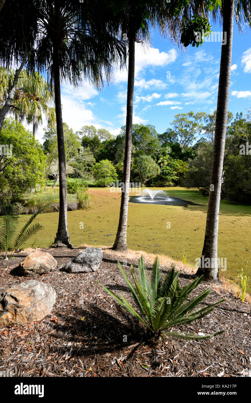 Hervey Bay Botanic Gardens, Queensland, QLD, Australia Stock Photo Alamy