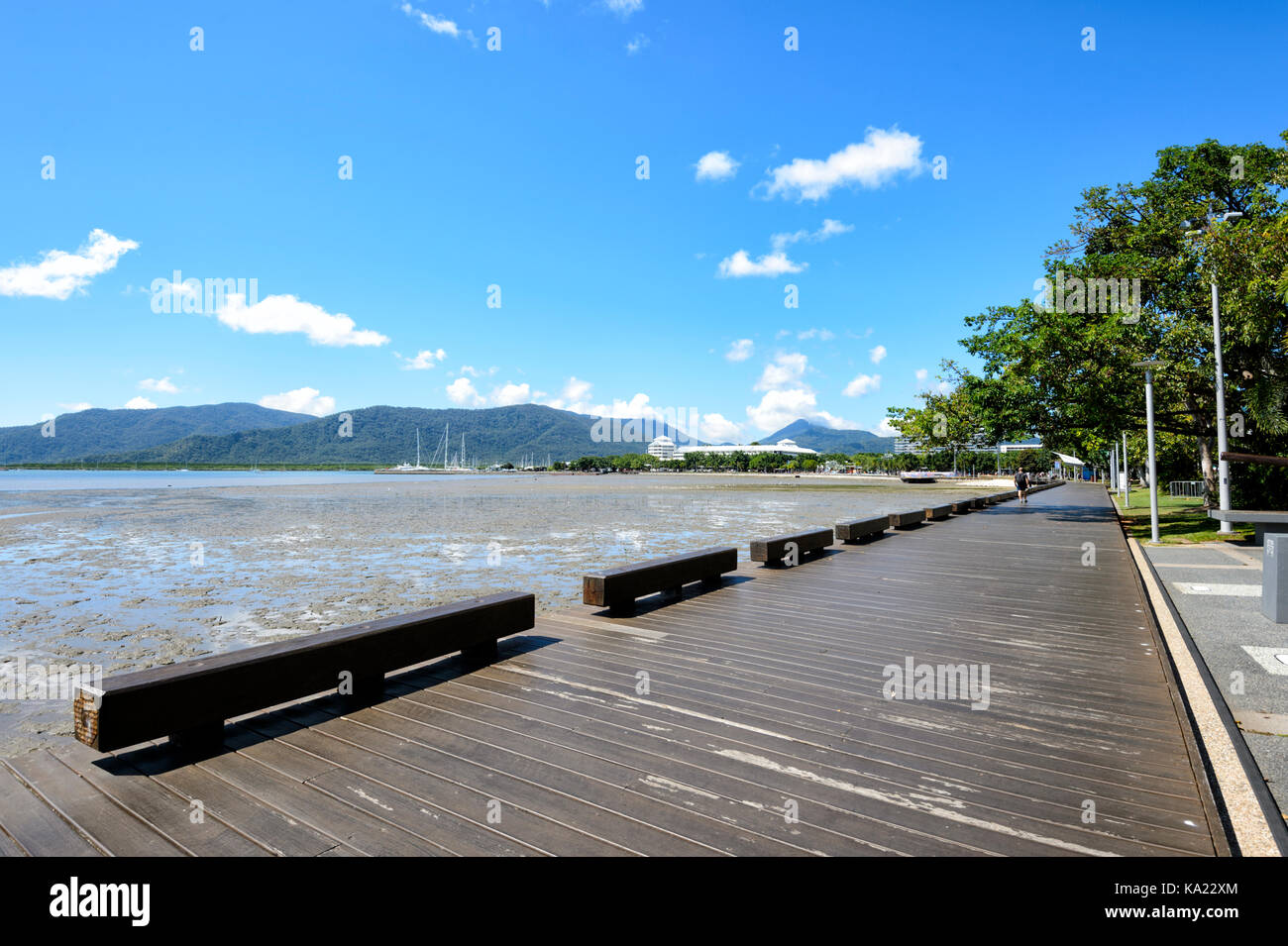 The Esplanade, Trinity Bay, Cairns, Far North Queensland, FNQ, QLD, Australia Stock Photo