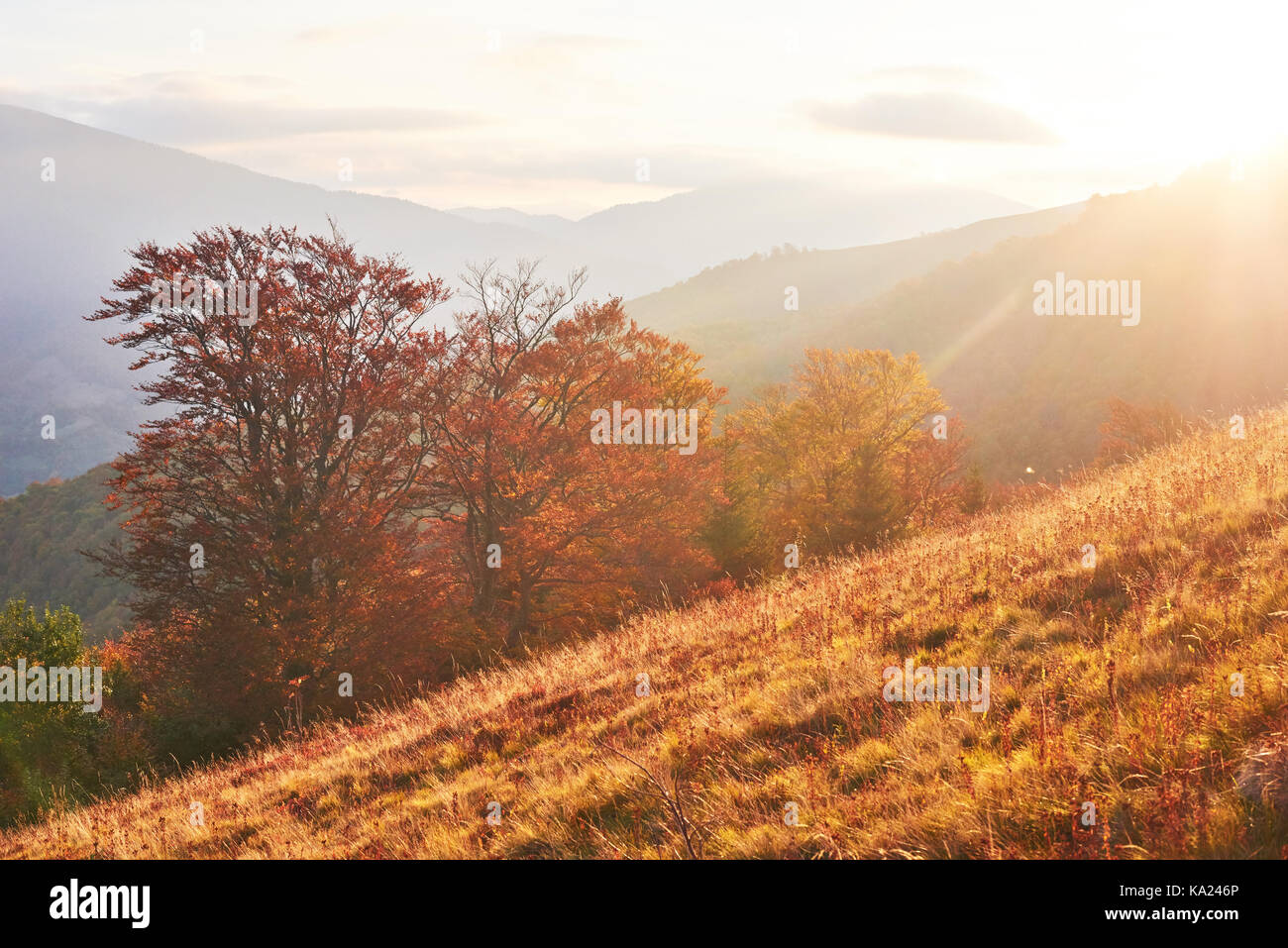Autumn in mountain, amazing landscape Stock Photo - Alamy