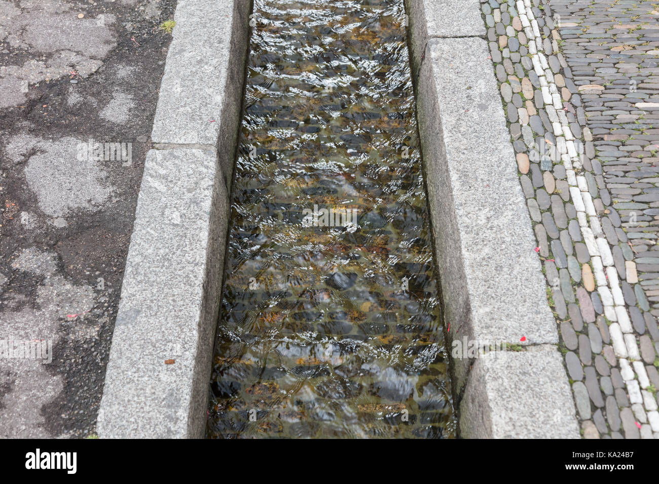 Small water canals in the streets in Freiburg - Germany Stock Photo - Alamy