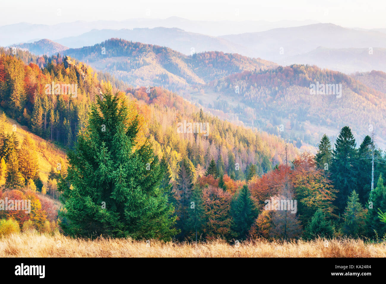 Autumn in mountain, amazing landscape Stock Photo - Alamy