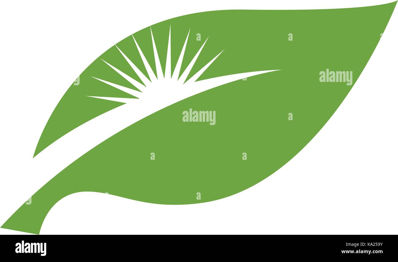 Logos of green leaf ecology nature element vector icon Stock Vector ...