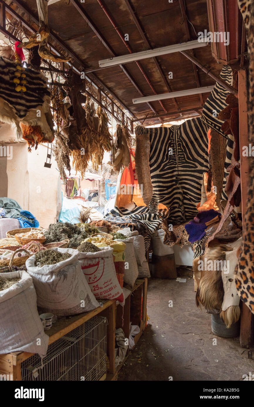 Animal Skins for sale in the Souk in Marrakech, Morocco Stock Photo Alamy