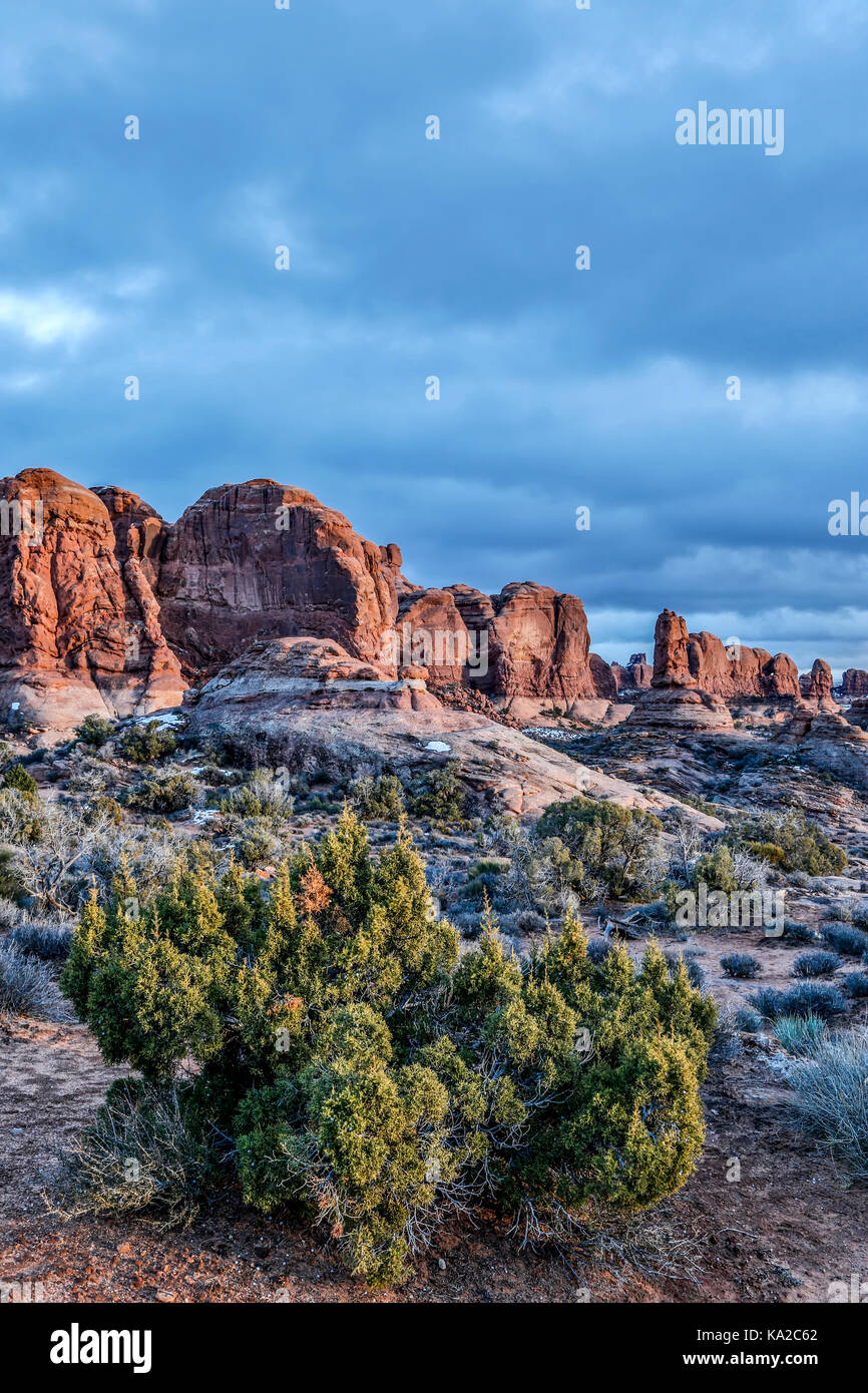 Shrub and sandstone rock formations, Garden of Eden, Arches National Park, Moab, Utah USA Stock Photo