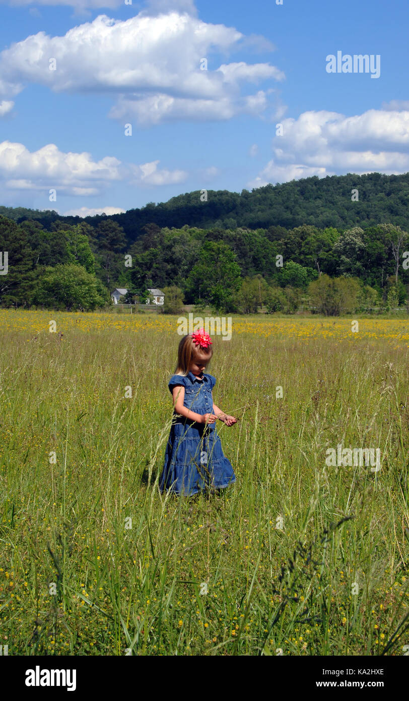 Little girl dressed in denim dress and wearing a pink flower bow, stands in a large field of tall green grass.  Alabama mountains loom in the backgrou Stock Photo