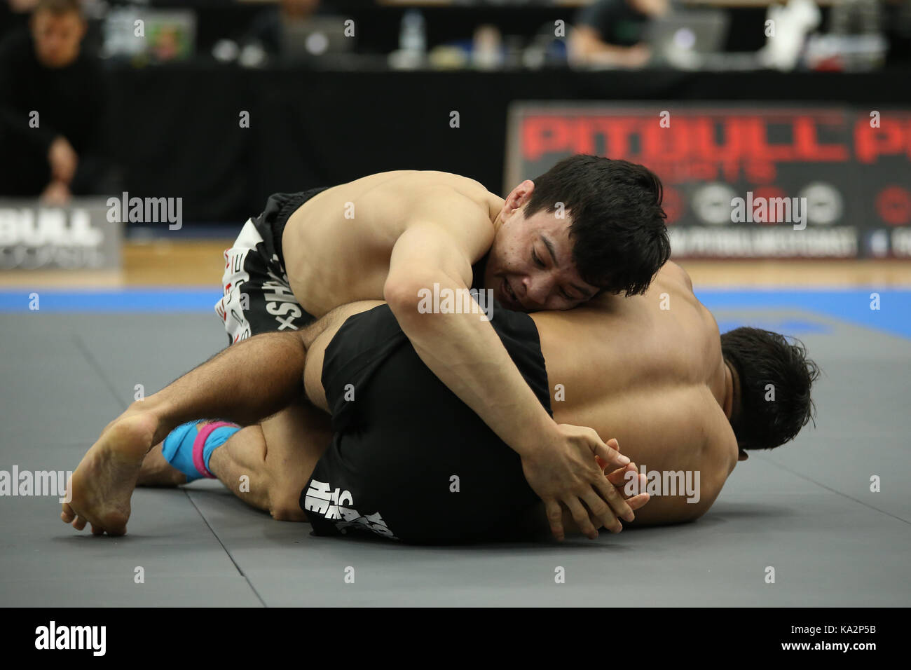 Grapplers hires stock photography and images Alamy