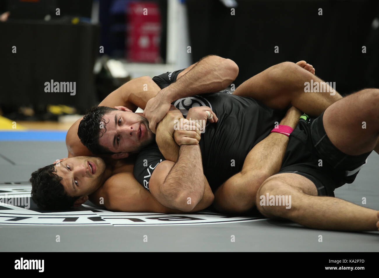 Grapplers hires stock photography and images Alamy