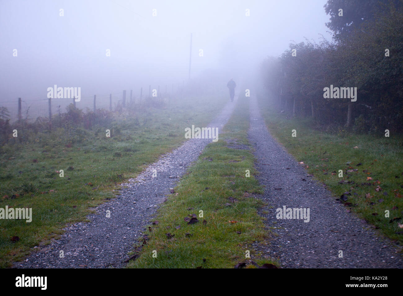 Flintshire, North Wales, UK Weather.  After a spell of torrential rain during the evening the morning begins with a heavy dew and dense fog in Flintshire NorthWales as this person discovered walking near the village of Moel y crio. Stock Photo