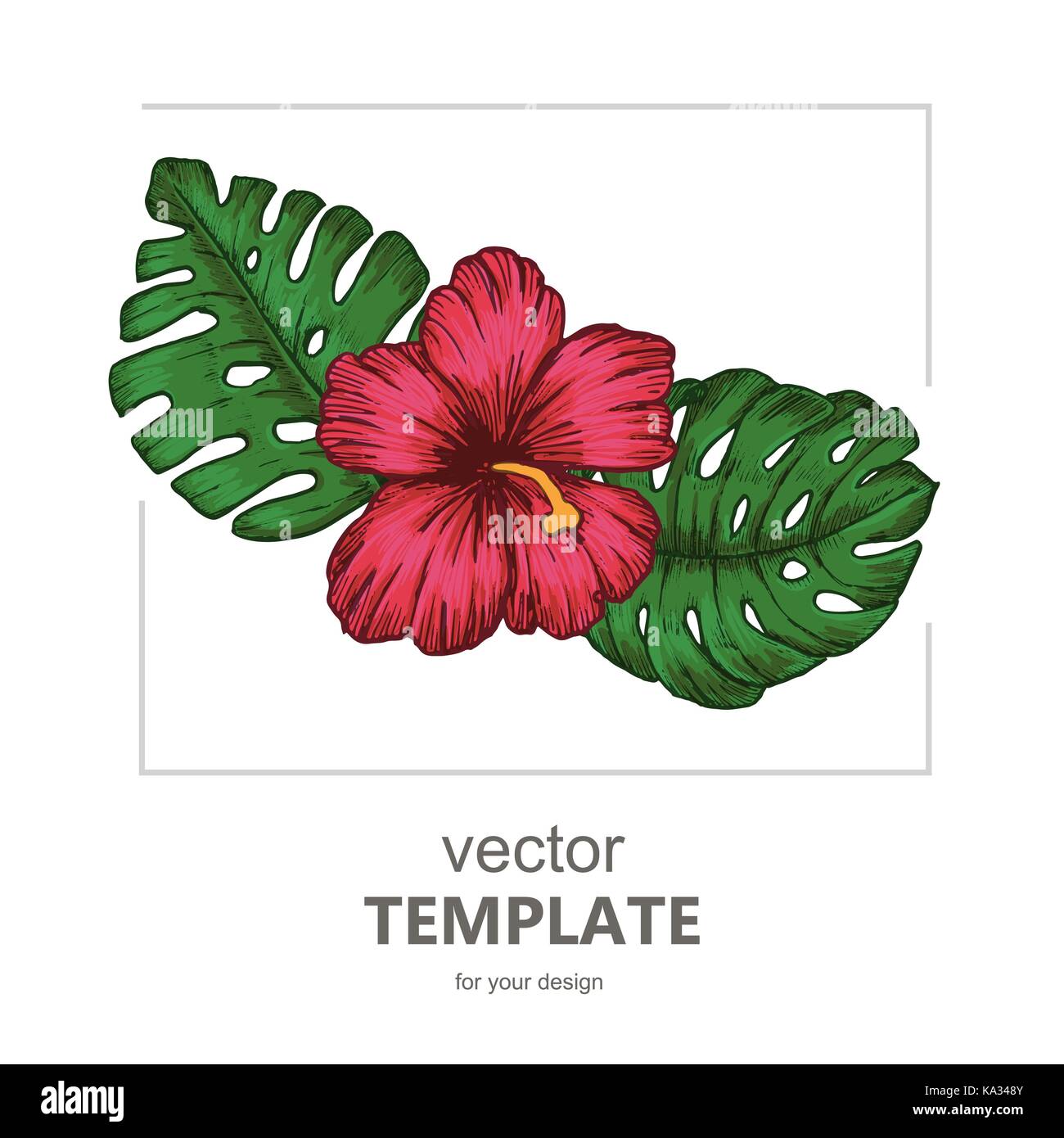 Tropical background with tropical leaves and flowers. Exotic Stock ...