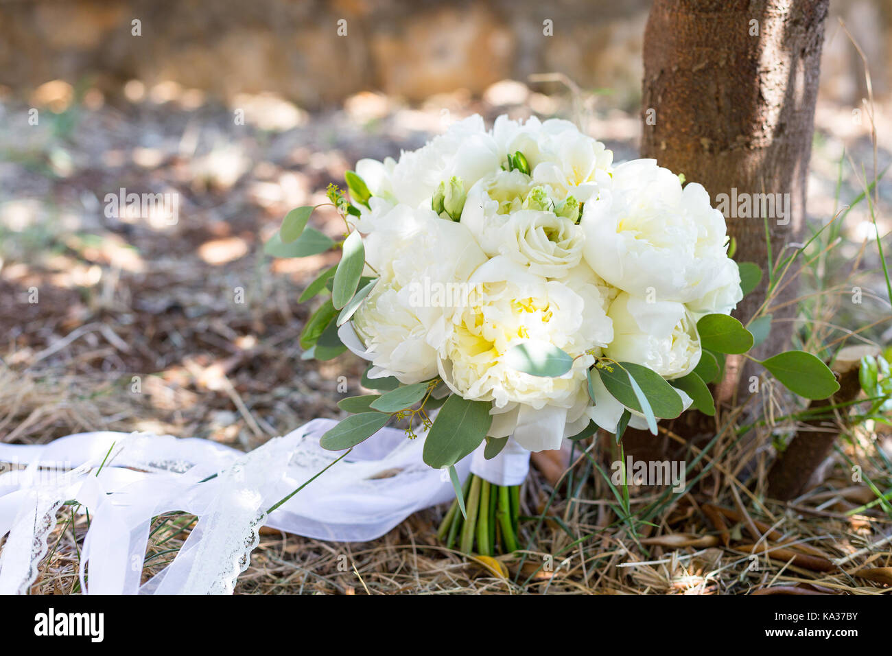 bridal bouquet of white peonies Stock Photo Alamy