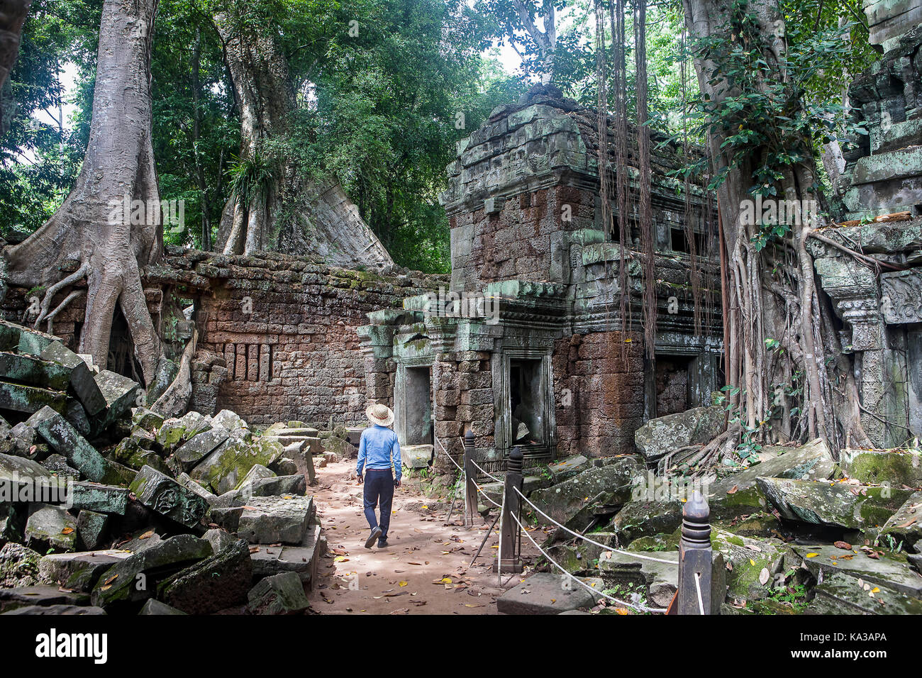Ta Prohm temple, Angkor Archaeological Park, Siem Reap, Cambodia Stock Photo