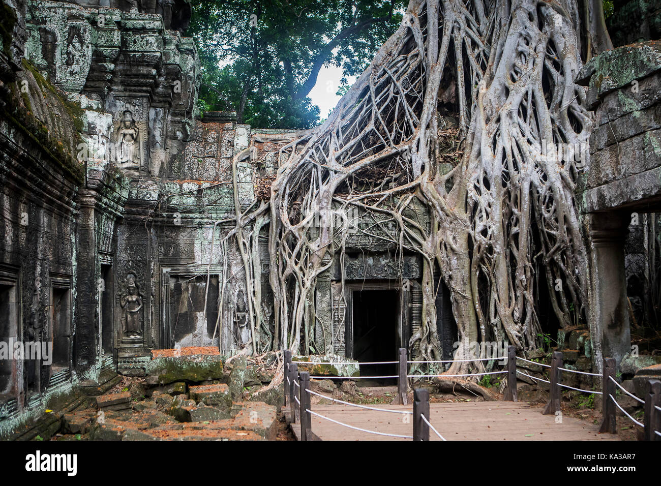 Ta Prohm temple, Angkor Archaeological Park, Siem Reap, Cambodia Stock Photo