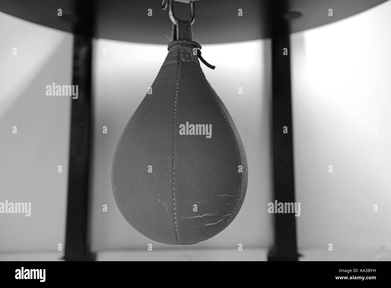 used speed bag