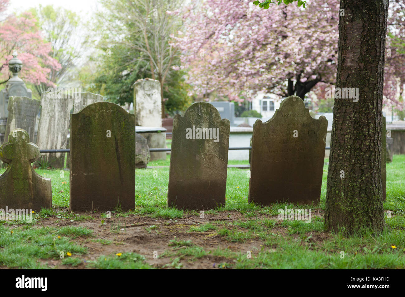 PRINCETON, NEW JERSEY April 26, 2017 Old headstones mark graves at