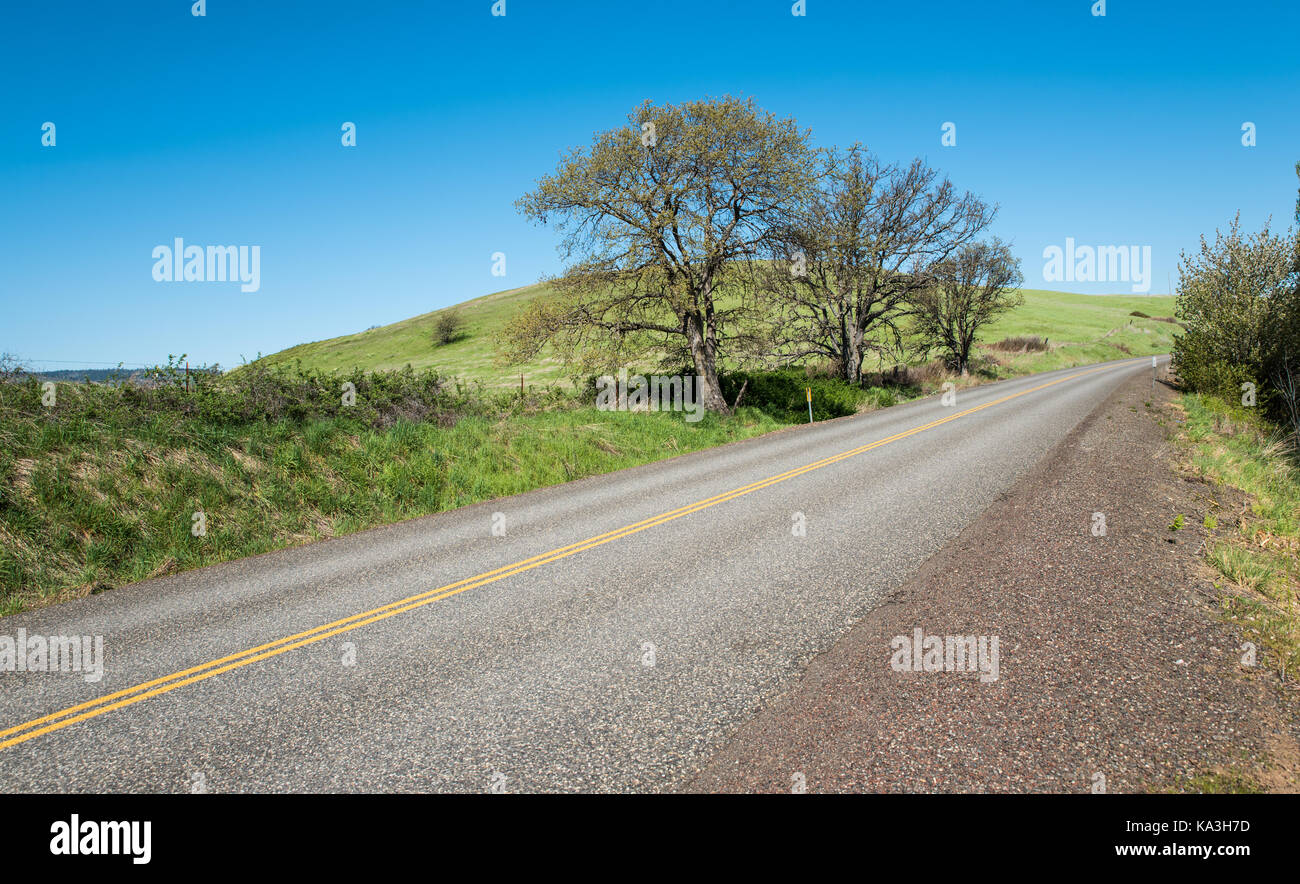 Three Oak Trees Stock Photo - Alamy