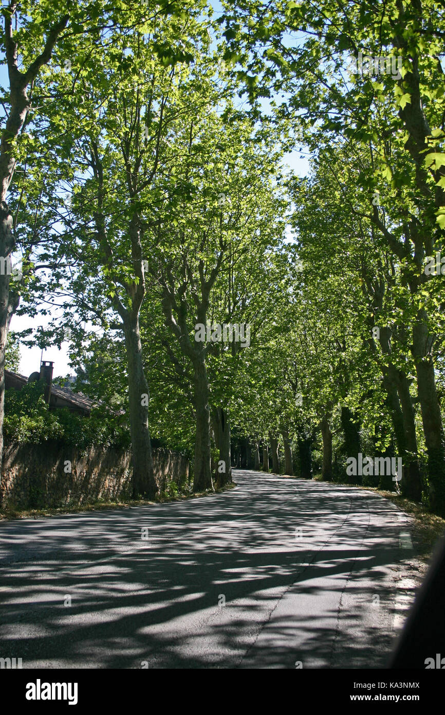 French country lane outside Aix in Provence. Beautiful place for a bike