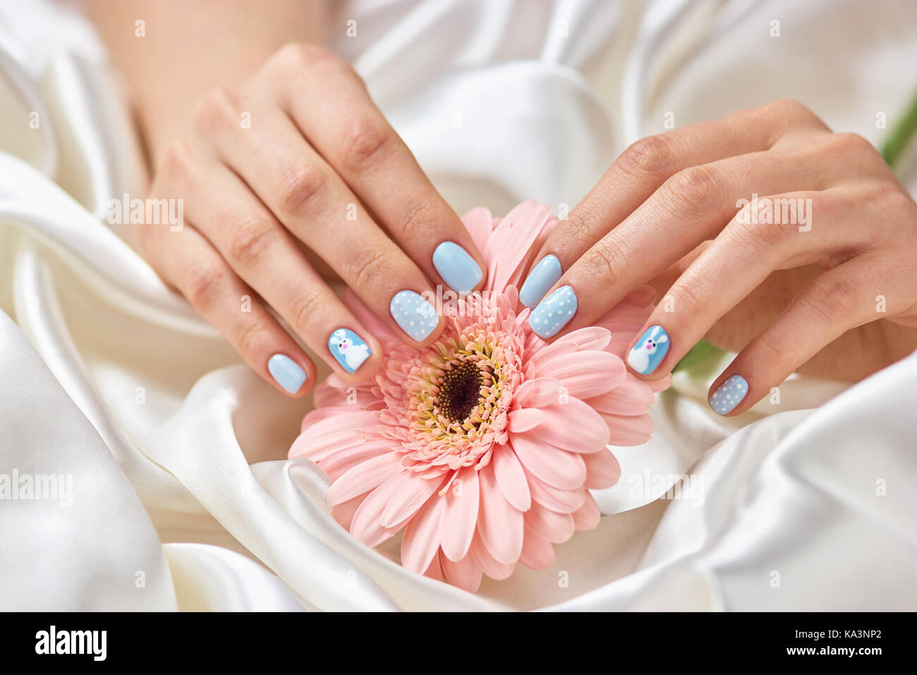 Female Manicured Hands Holding Gerbera Beautiful Woman Hands With Winter Design Manicure