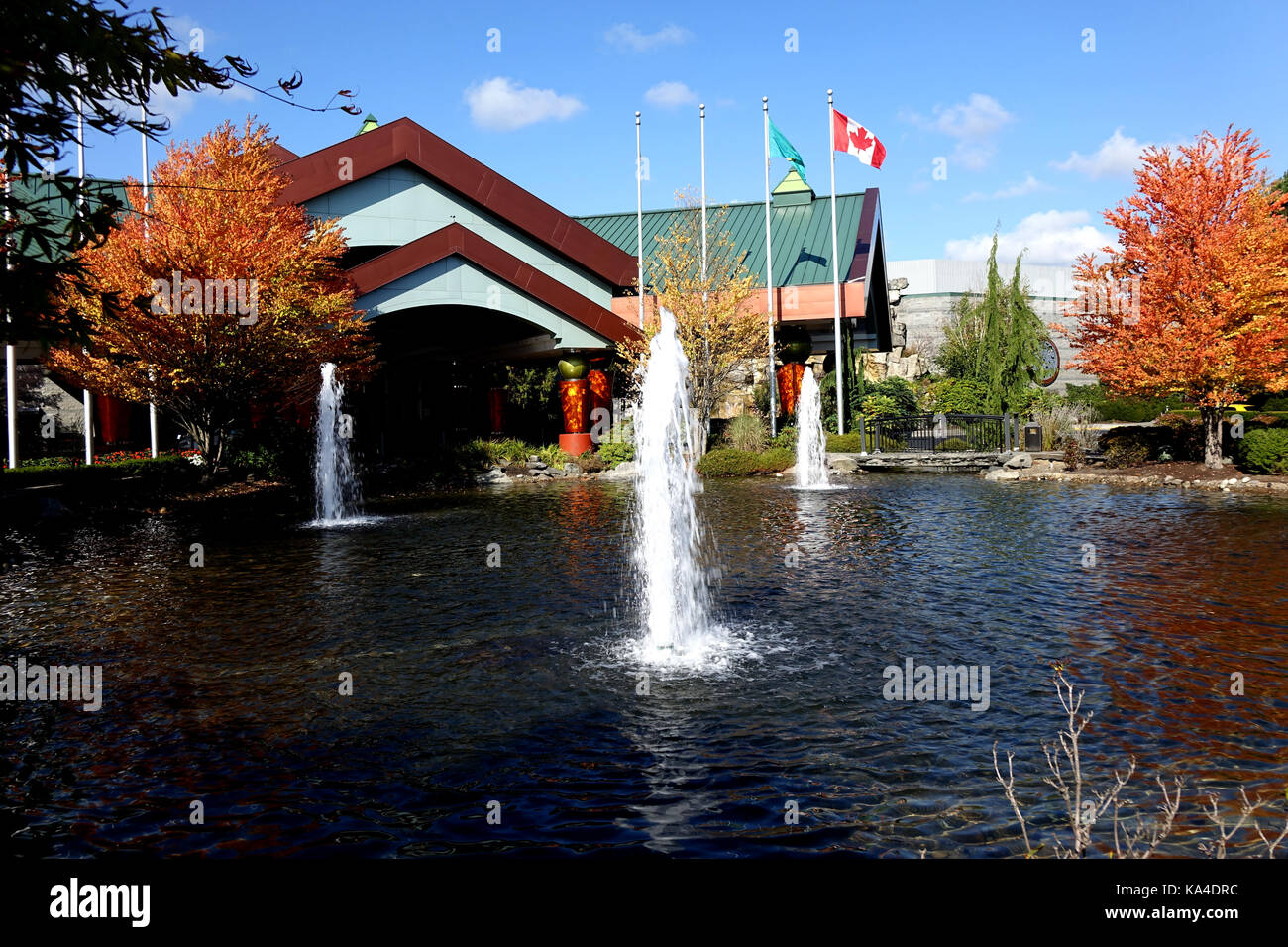 Tulalip casino resort room prices buffet Tulalip casino resort room prices buffet