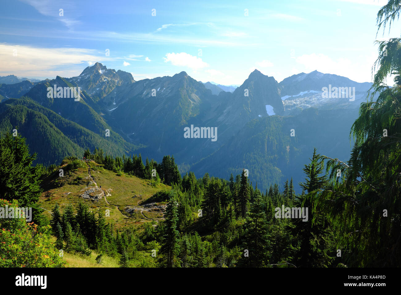 A group of hikers explore a knoll on the way to the summit of Dickerman Mountain near Granite Falls, Washington. Stock Photo